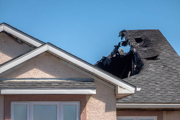 Top rated local Odor Removal specialists in Myakka City, FL